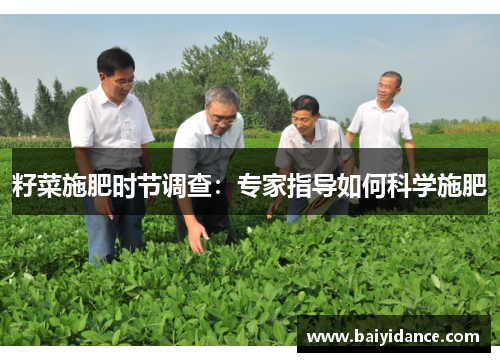 籽菜施肥时节调查：专家指导如何科学施肥